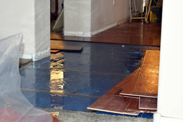 Professional Water Damage Restoration technician working in Marblehead, MA